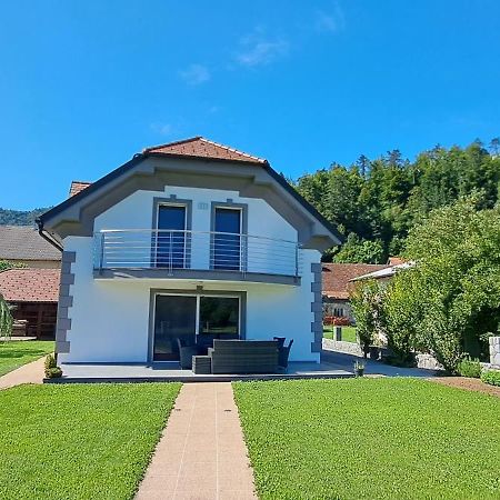 Hisa Haasberg Villa Planina  Exterior photo