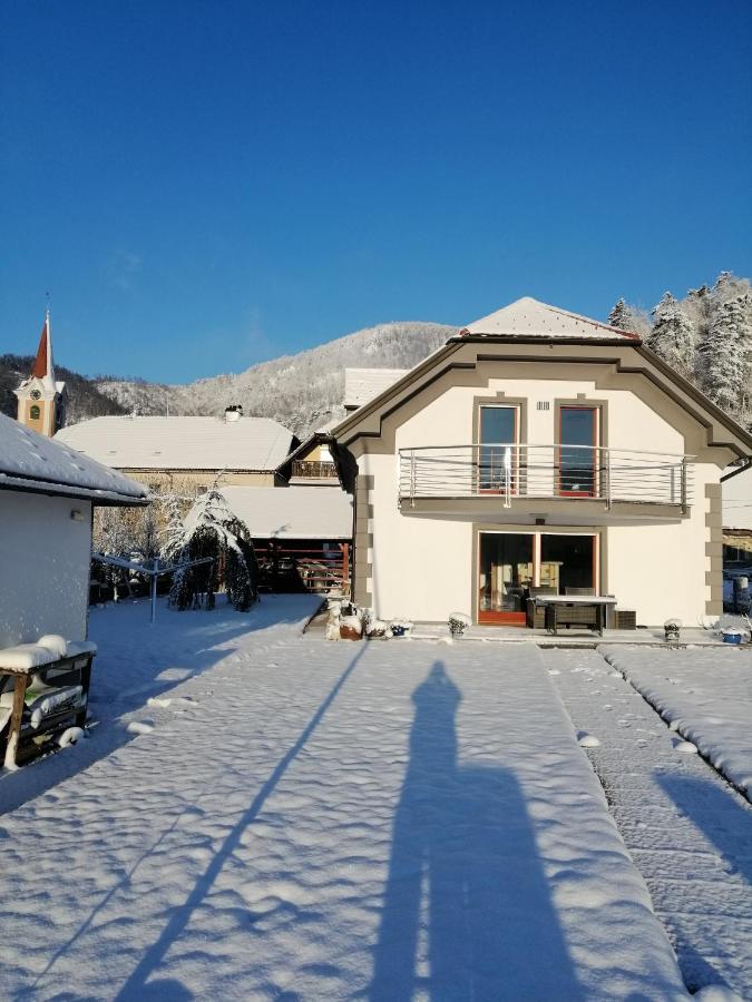 Hisa Haasberg Villa Planina  Exterior photo
